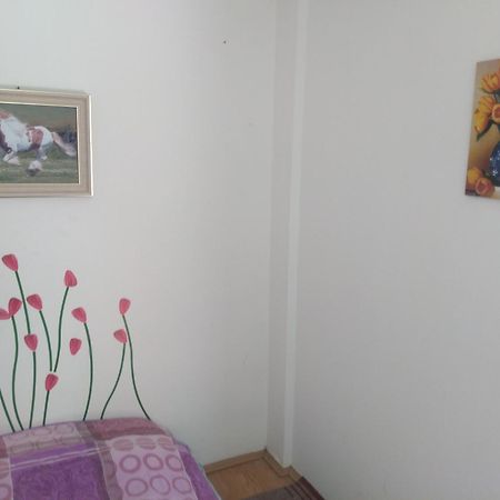 Hostel Trajan Долни Милановац Екстериор снимка