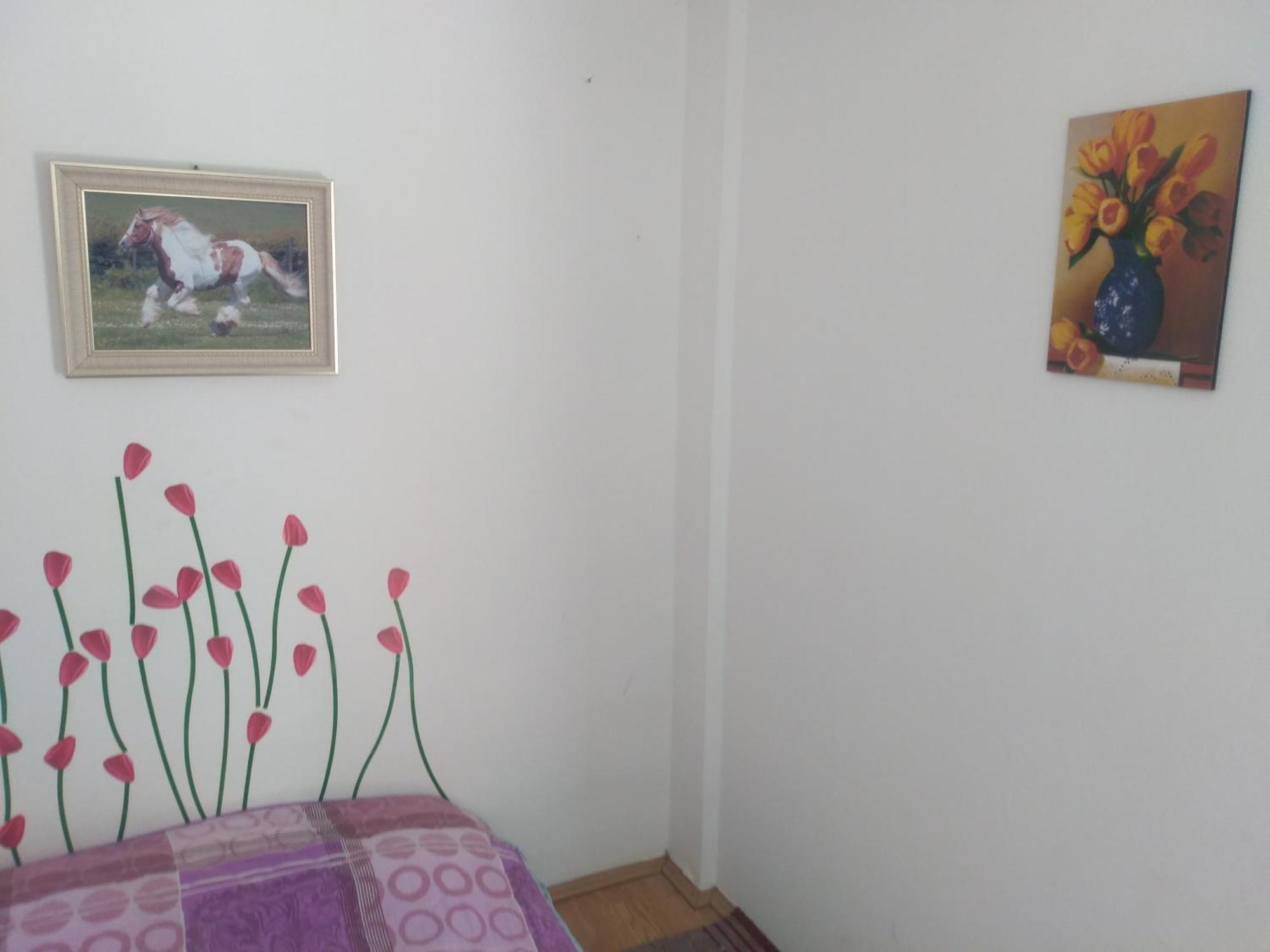 Hostel Trajan Долни Милановац Екстериор снимка