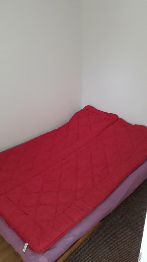 Hostel Trajan Долни Милановац Екстериор снимка